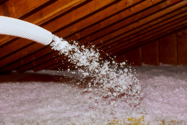 Best Geographic-Specific Insulation Services in Lake Isabella, CA