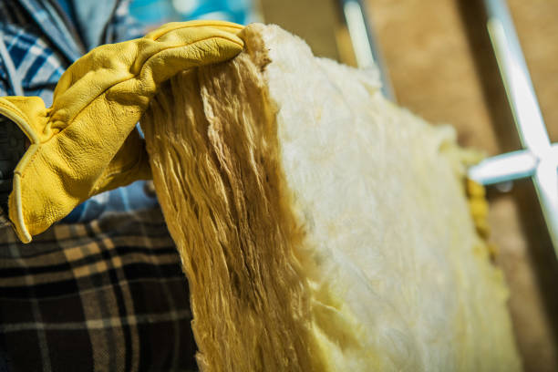 Best Residential Insulation in Lake Isabella, CA