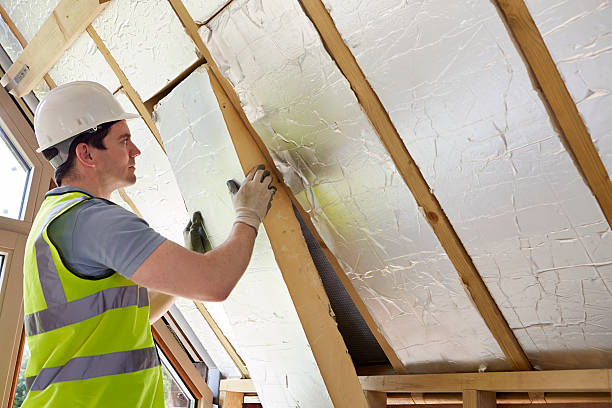 Best Blown-in Insulation in Lake Isabella, CA